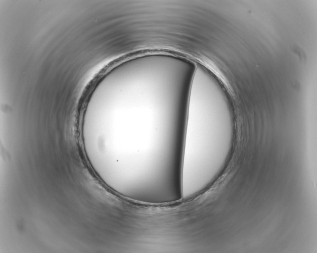 X0000091191068200708091018