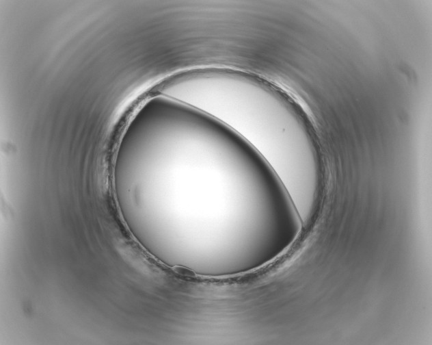 X0000091191069200708091018