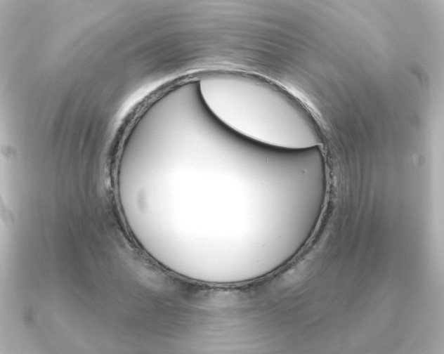 X0000091191070200708091018