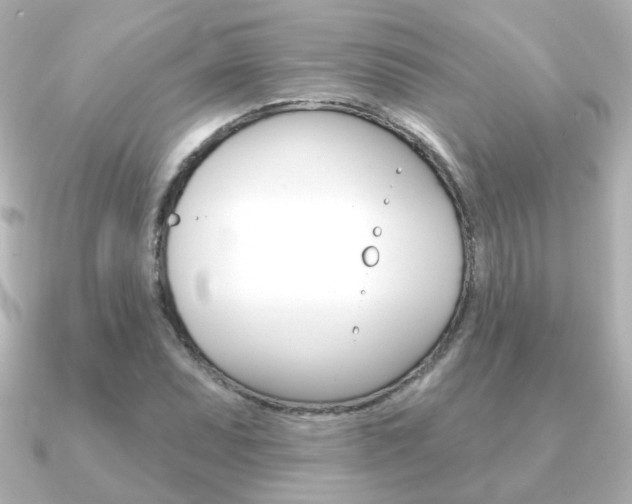 X0000091191071200708091018