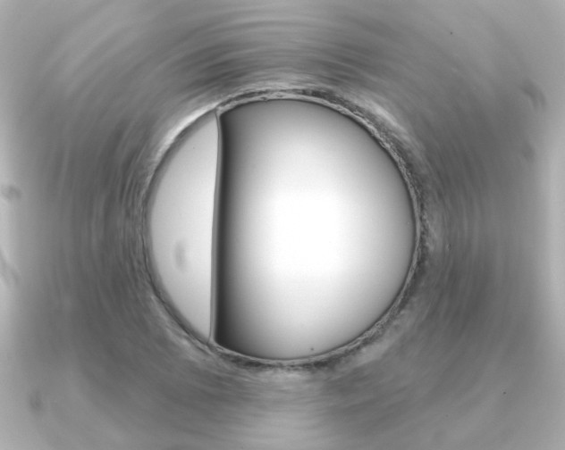 X0000091191073200708091018