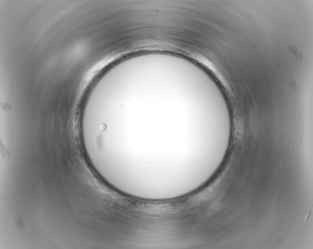 X0000091191074200708091018