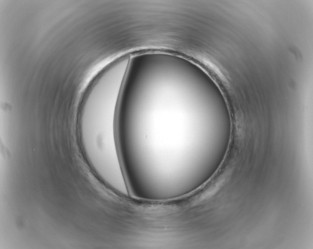X0000091191077200708091018