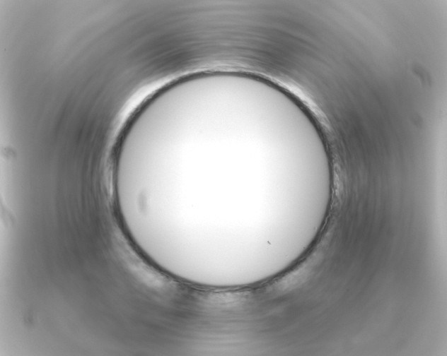 X0000091191078200708091018