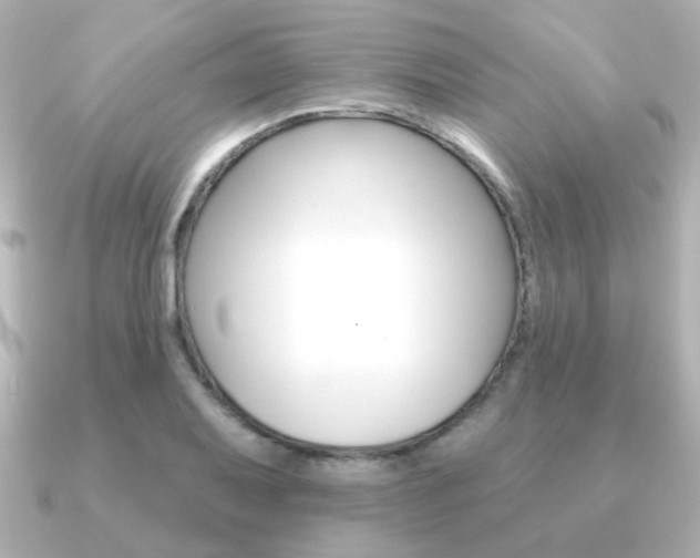 X0000091191079200708091018