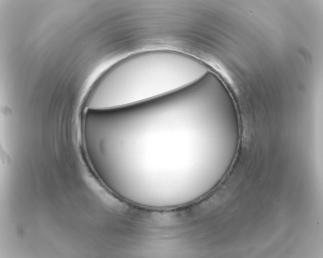 X0000091191080200708091018