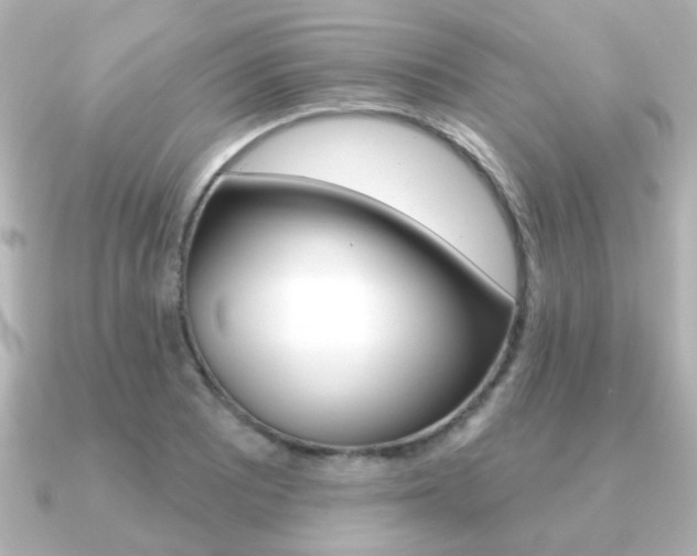 X0000091191081200708091018
