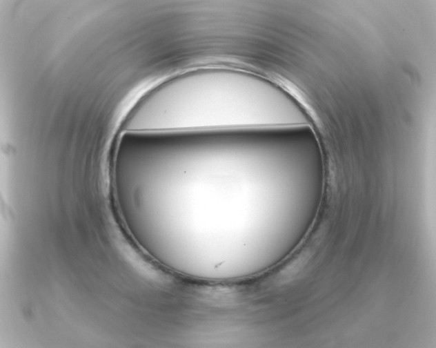 X0000091191082200708091018