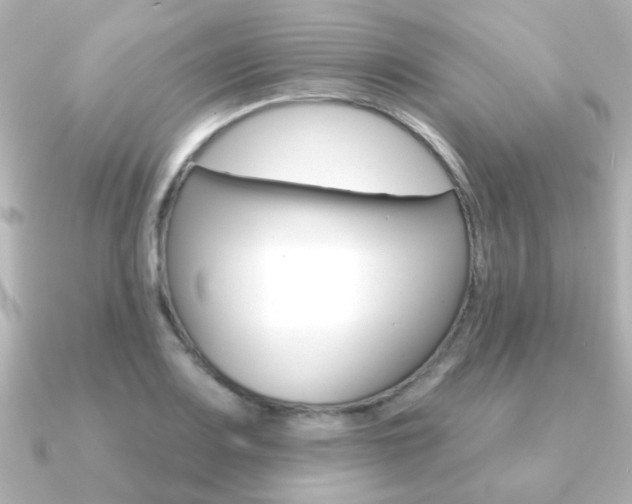 X0000091191083200708091018