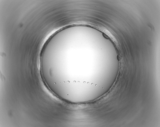 X0000091191084200708091018
