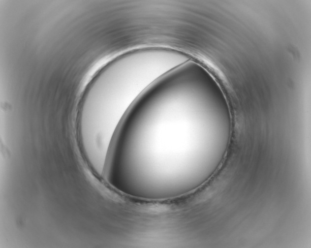 X0000091191085200708091018