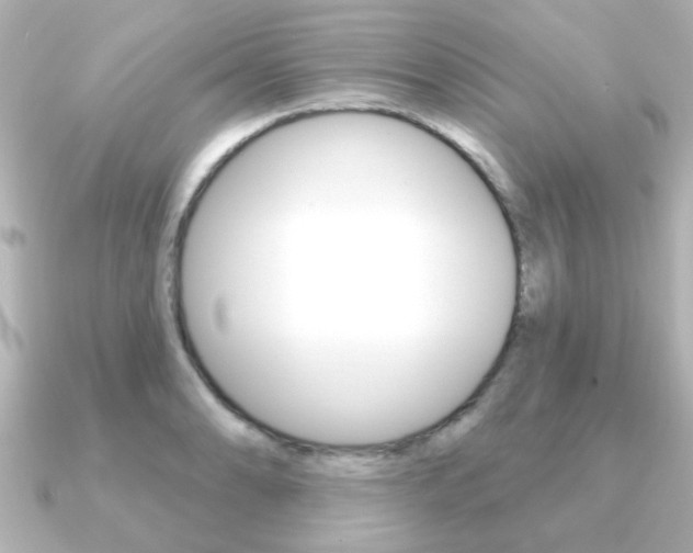 X0000091191086200708091018