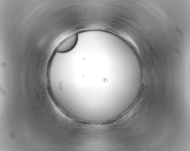 X0000091191087200708091018