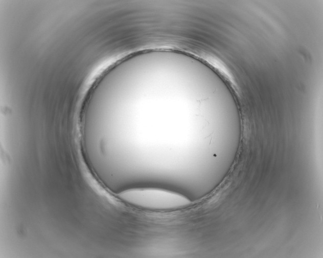 X0000091191088200708091018