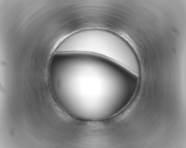 X0000091191089200708091018