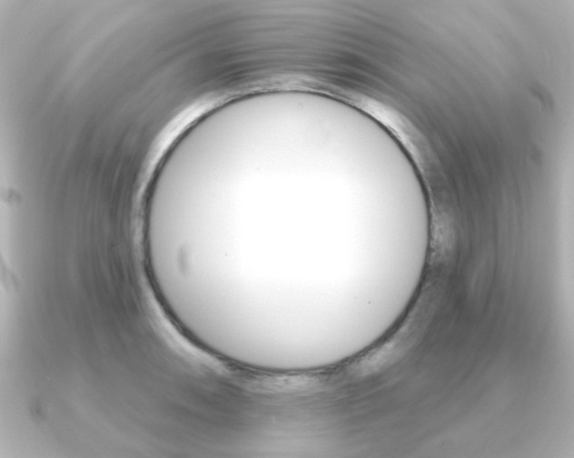 X0000091191090200708091018