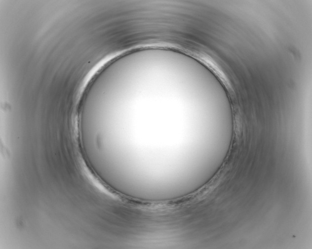 X0000091191092200708091018