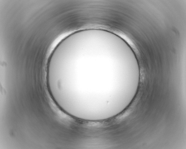 X0000091191094200708091018