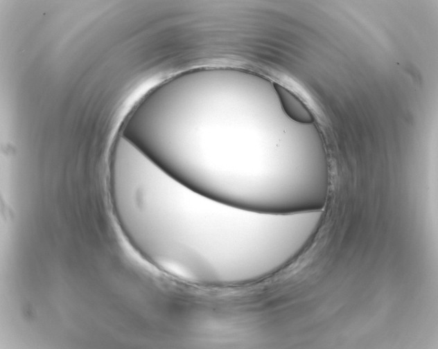 X0000091191095200708091018