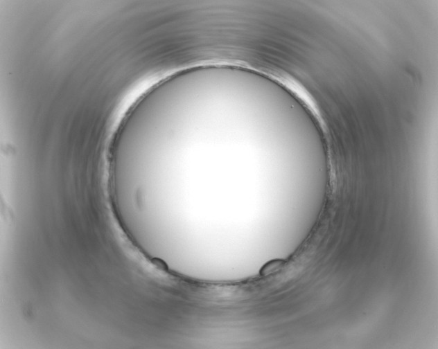 X0000091191096200708091018