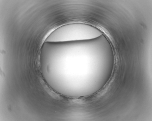 X0000091191097200708091018
