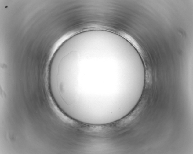 X0000091191098200708091018