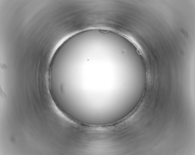 X0000091191100200708091018