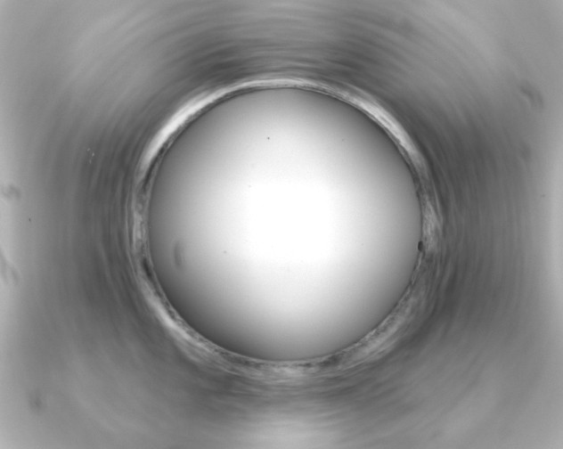 X0000091191101200708091018