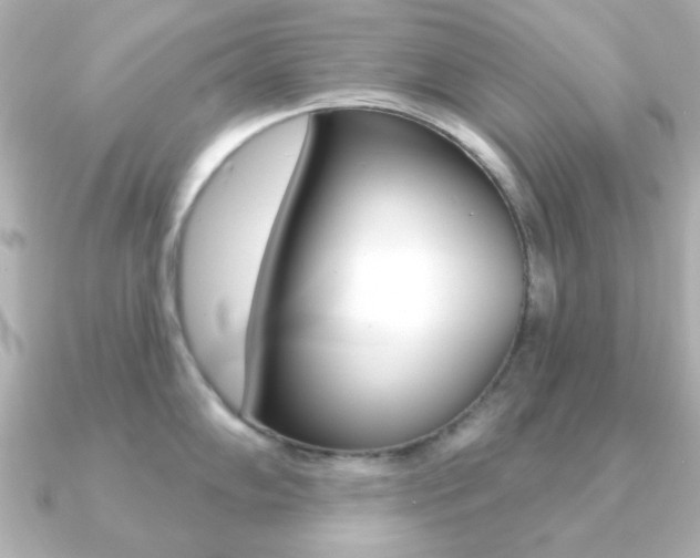 X0000091191102200708091018