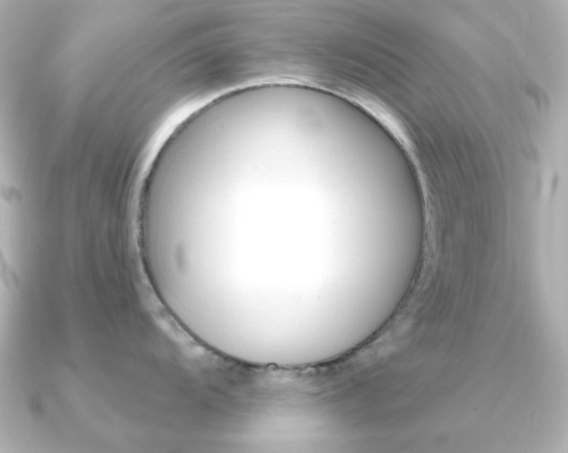 X0000091191104200708091018