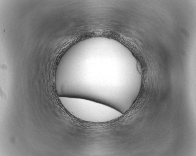 X0000091191105200708091017