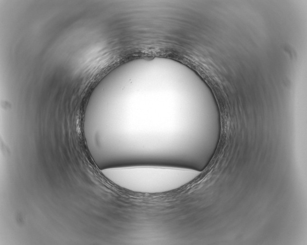 X0000091191106200708091017