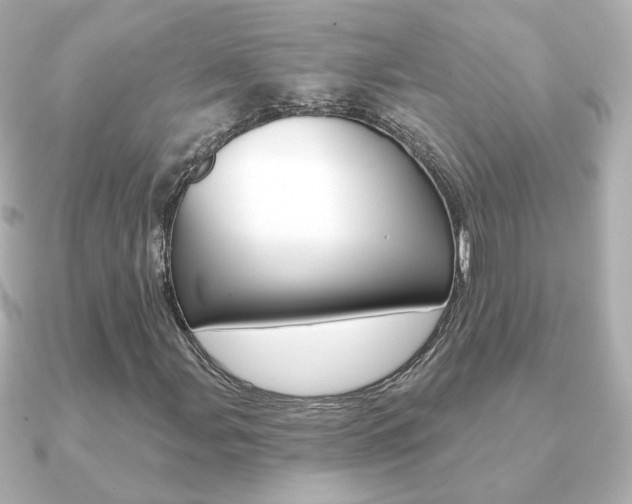 X0000091191107200708091017