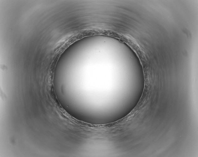 X0000091191110200708091017