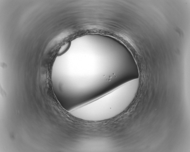 X0000091191111200708091017