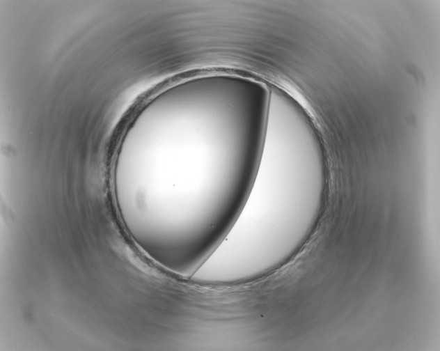 X0000091191116200708091017