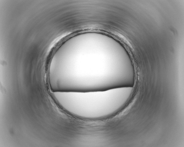 X0000091191117200708091017