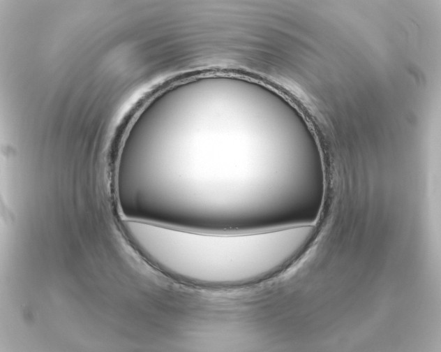 X0000091191118200708091017