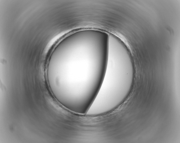 X0000091191120200708091017