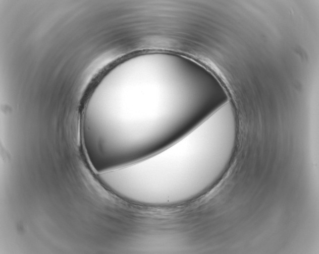 X0000091191123200708091017