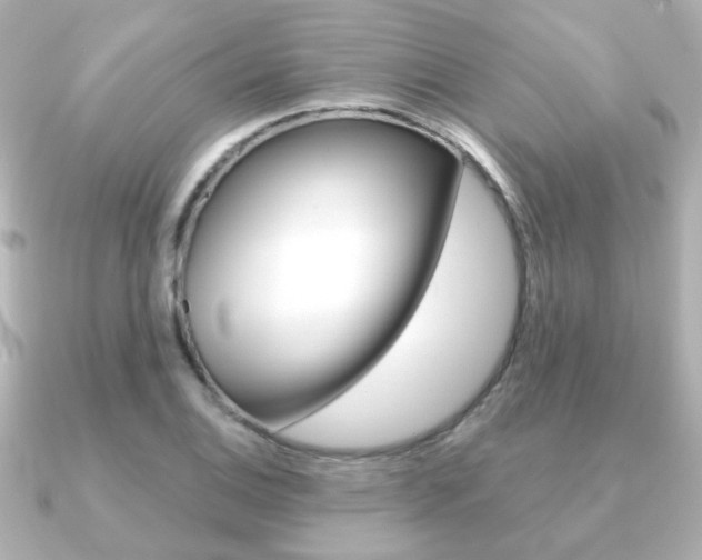 X0000091191124200708091017