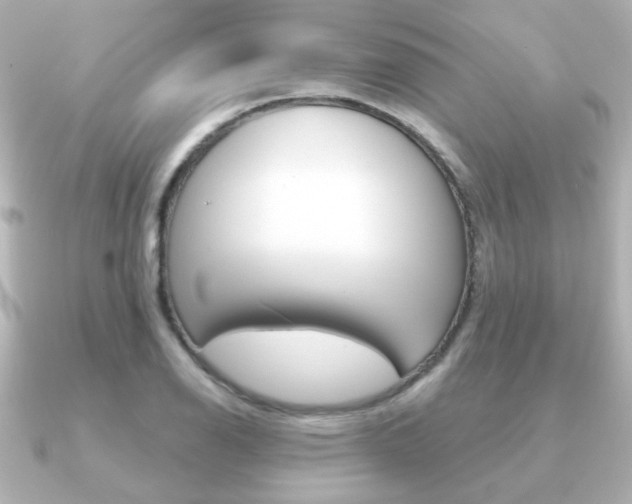 X0000091191126200708091017