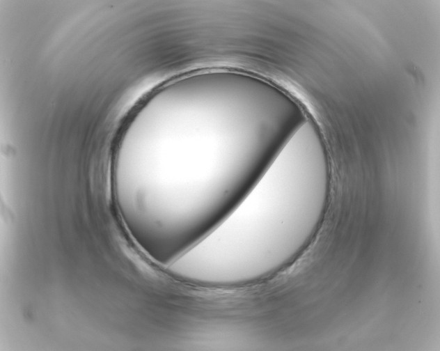 X0000091191127200708091017