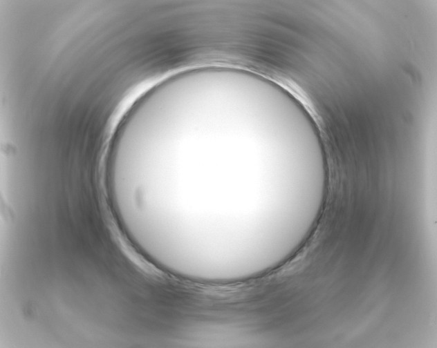 X0000091191128200708091017