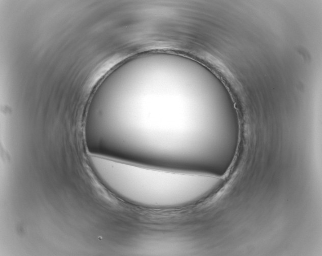 X0000091191129200708091017