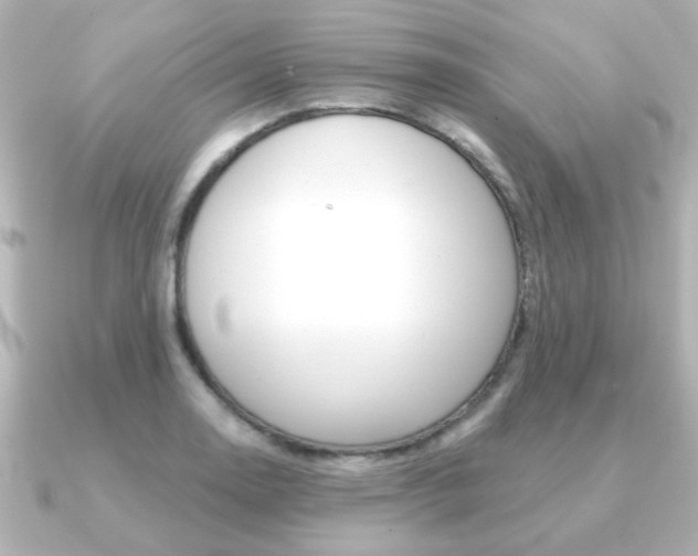 X0000091191130200708091017