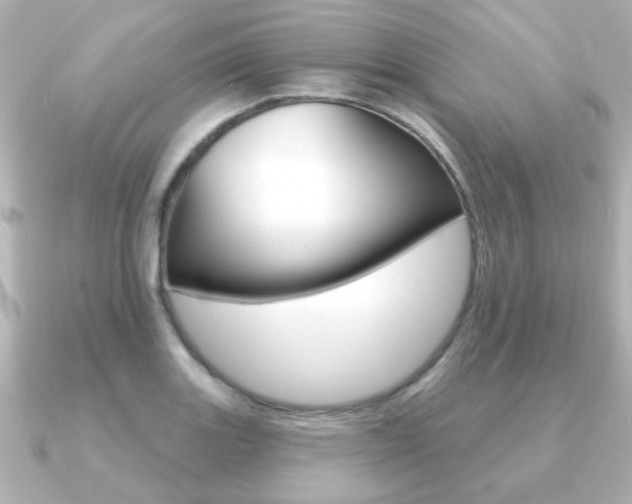 X0000091191131200708091017