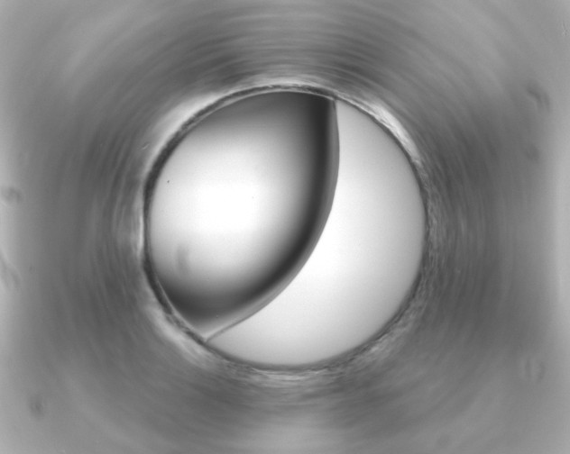 X0000091191132200708091017