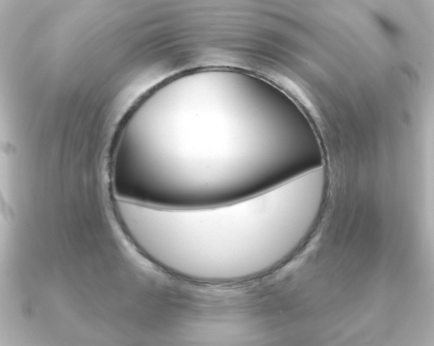 X0000091191133200708091017