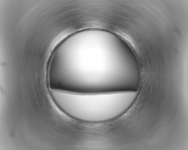 X0000091191135200708091017